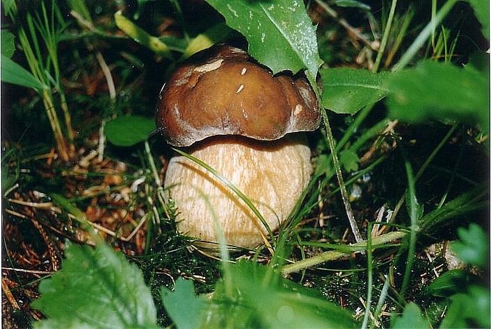 un p� di tempo f� !